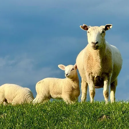 Сasa de vacaciones Deichblick